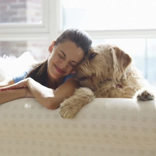 Mujer jugando con su perro sentada en el sofá